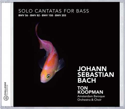 CD Shop - BACH, JOHANN SEBASTIAN SOLO CANTATAS FOR BASS
