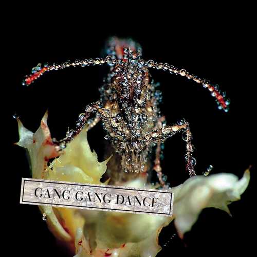 CD Shop - GANG GANG DANCE EYE CONTACT