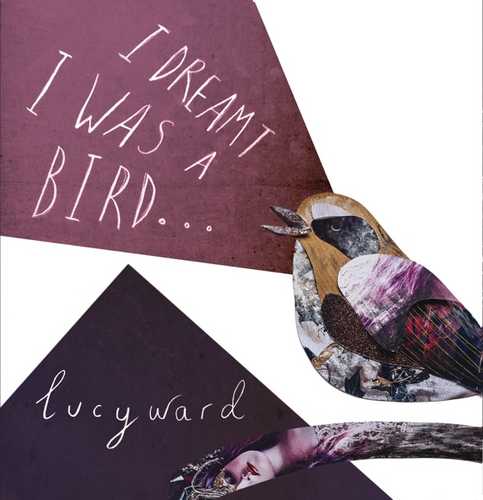 CD Shop - WARD, LUCY I DREAMT I WAS A BIRD