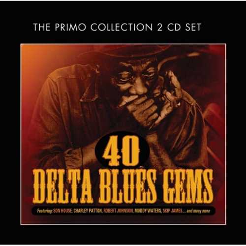 CD Shop - V/A 40 DELTA BLUES GEMS