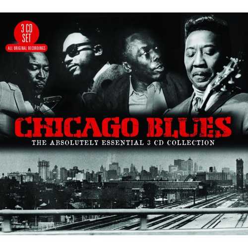 CD Shop - V/A CHICAGO BLUES