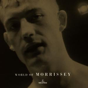 CD Shop - MORRISSEY WORLD OF