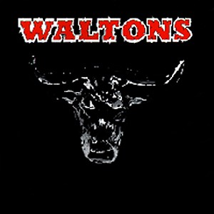 CD Shop - WALTONS ESSENTIAL COUNTRY BULLSHIT