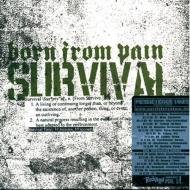 CD Shop - BORN FROM PAIN SURVIVAL