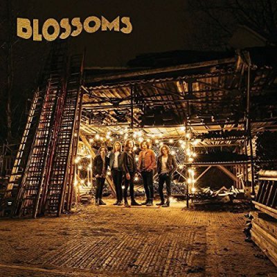 CD Shop - BLOSSOMS BLOSSOMS