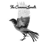 CD Shop - THE COMMON LINNETS THE COMMON LINNETS