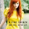 CD Shop - FINE FRENZY ONE CELL IN THE SEA