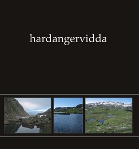 CD Shop - ILDJARN-NIDHOGG HARDANGERVIDDA I