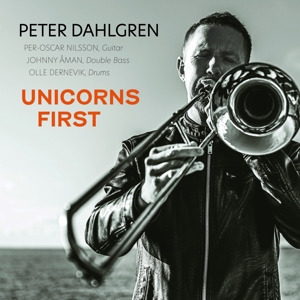 CD Shop - DAHLGREN, PETER UNICORNS FIRST