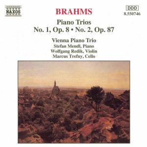 CD Shop - BRAHMS, JOHANNES PIANO TRIOS VOL.1
