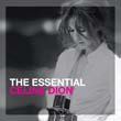 CD Shop - DION, CELINE The Essential