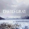 CD Shop - GRAY, DAVID LIFE IN SLOW MOTION
