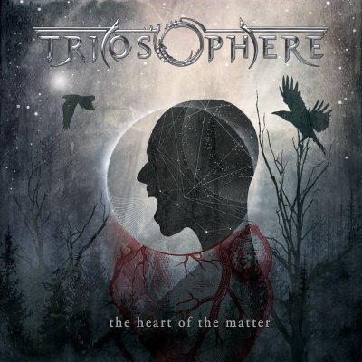 CD Shop - TRIOSPHERE THE HEART OF THE MATTER