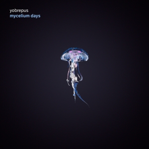 CD Shop - YOBREPUS MYCELIUM DAYS