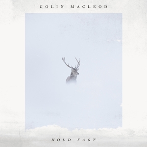 CD Shop - MACLEOD, COLIN HOLD FAST