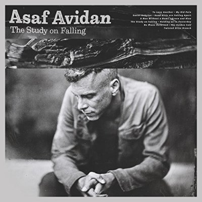 CD Shop - AVIDAN, ASAF STUDY ON FALLING