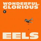 CD Shop - EELS WONDERFUL, GLORIOUS