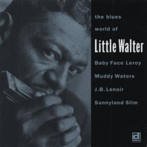 CD Shop - LITTLE WALTER THE BLUES WORLD OF LITTLE WALTER