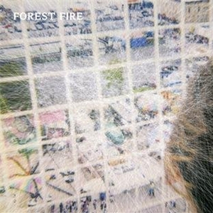 CD Shop - FOREST FIRE STARING AT THE X