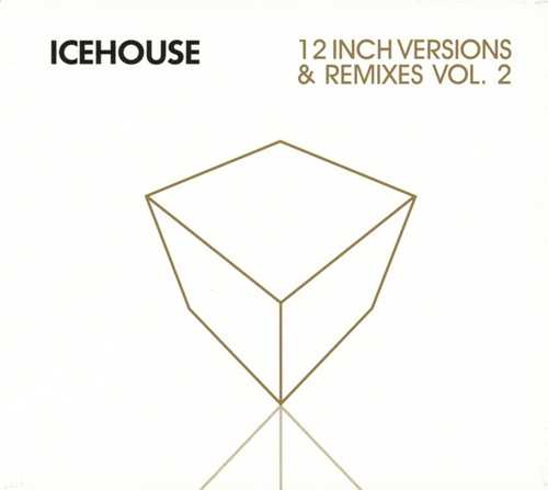 CD Shop - ICEHOUSE 12 INCHES 2