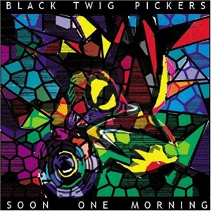 CD Shop - BLACK TWIG PICKERS SOON ONE MORNING