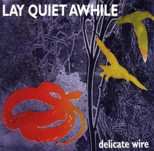CD Shop - LAY QUIET AWHILE DELICATE WIRE