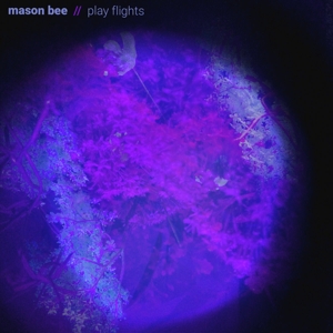 CD Shop - BEE, MASON PLAY FLIGHTS