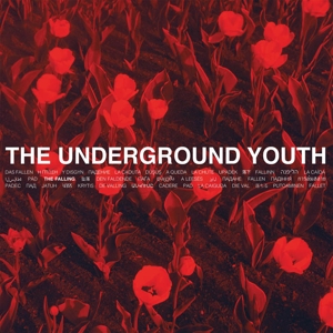 CD Shop - UNDERGROUND YOUTH THE FALLING