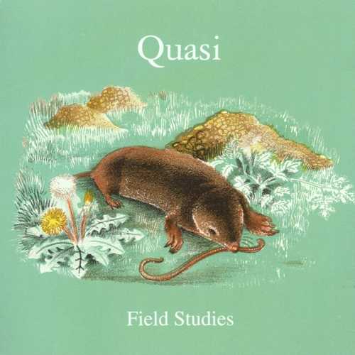 CD Shop - QUASI FIELD STUDIES