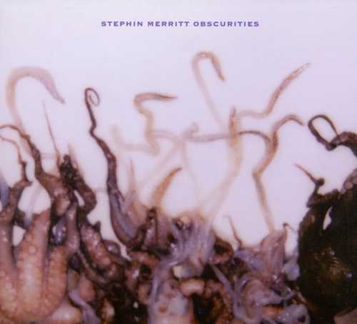 CD Shop - MERRITT, STEPHIN OBSCURITIES
