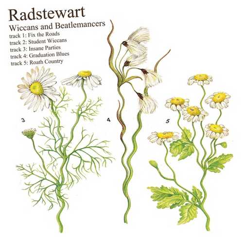 CD Shop - RADSTEWART WICCANS & BEATLEMANCERS EP