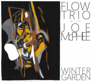 CD Shop - FLOW TRIO WITH JOE MCPHEE WINTER GARDEN