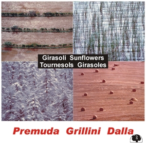 CD Shop - PREMUDA/GRILLINI/DALLA GIRASOLI