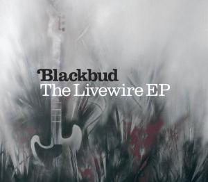 CD Shop - BLACKBUD LIVEWIRE -3TR-