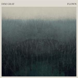CD Shop - DIM GRAY FLOWN