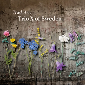 CD Shop - TRIO X OF SWEDEN TRIO X OF SWEDEN