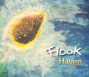 CD Shop - FLOOK HAVEN