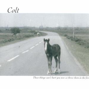 CD Shop - COLT THESE THINGS CAN\