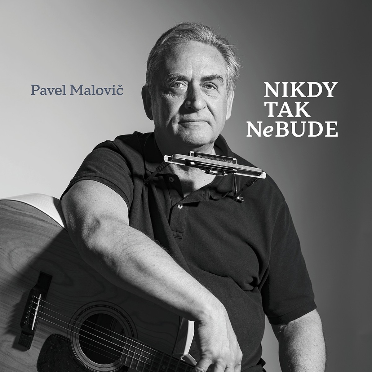 CD Shop - MALOVIC PAVEL NIKDY TAK NEBUDE