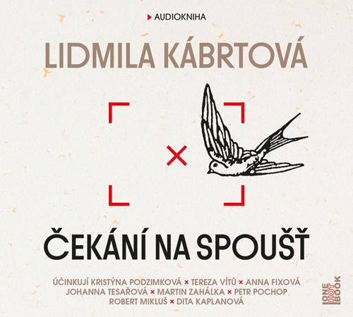 CD Shop - AUDIOKNIHA KABRTOVA LIDMILA: CEKANI NA SPOUST (MP3-CD)