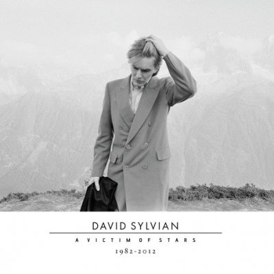 CD Shop - SYLVIAN, DAVID A VICTIM OF STARS 1982-2012