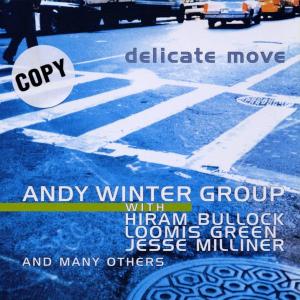 CD Shop - WINTER GROUP, ANDY DELICATE MOVE