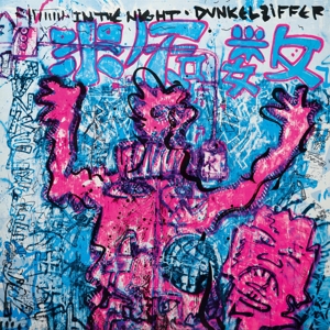 CD Shop - DUNKELZIFFER IN THE NIGHT