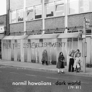CD Shop - NORMIL HAWAIIANS DARK WORLD