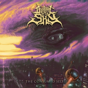 CD Shop - BURIAL IN THE SKY CONSUMED SELF