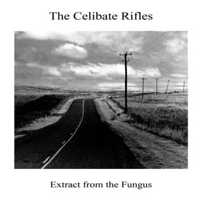 CD Shop - CELIBATE RIFLES EXTRACT FROM THE FUNGUS