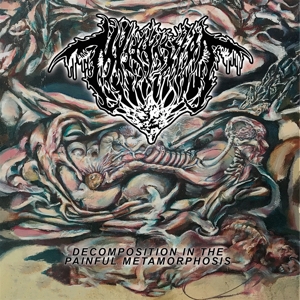 CD Shop - MVLTIFISSION DECOMPOSITION IN THE PAINFUL METAMORPHOSIS