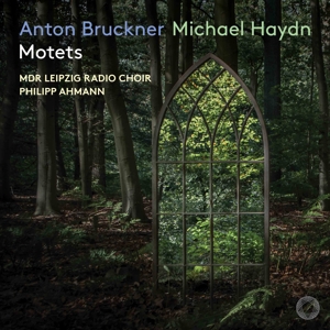 CD Shop - MDR LEIPZIG RADIO CHOIR / Anton Bruckner & Michael Haydn Motets