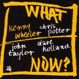 CD Shop - WHEELER/TAYLOR/POTTER/HOL WHAT NOW ?