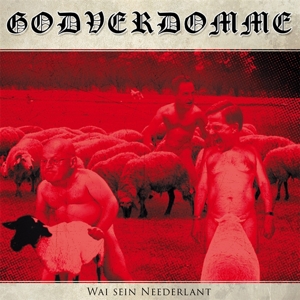 CD Shop - GODVERDOMME (TIM STEINFORD) WAI SEIN NEEDERLANT!